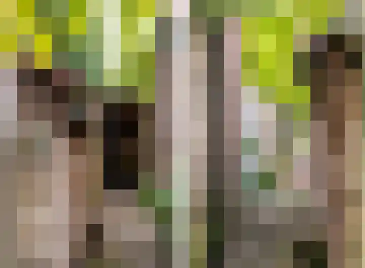 Oranje Nassaulaan 110 Overveen thumbnail 43
