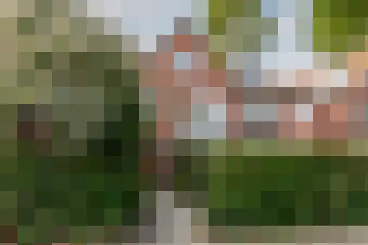 Oranje Nassaulaan 110 Overveen thumbnail 44