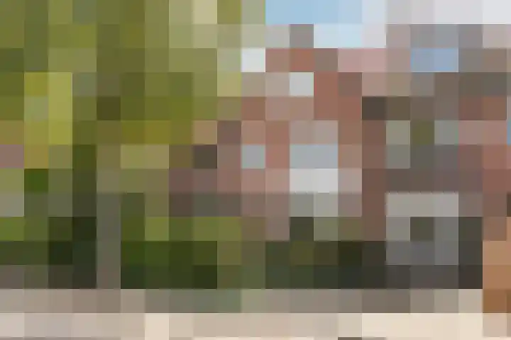 Oranje Nassaulaan 110 Overveen thumbnail 45