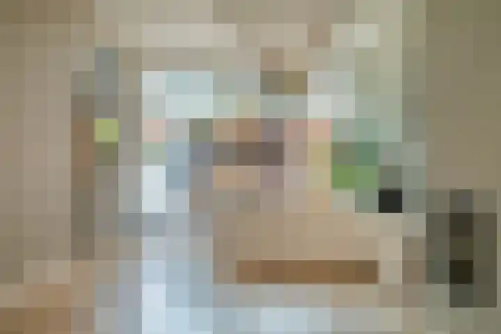 Oranje Nassaulaan 110 Overveen thumbnail 7