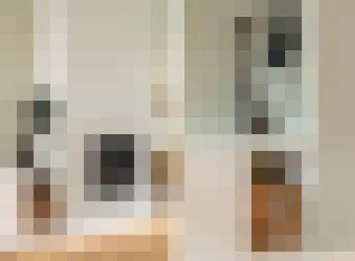Oranje Nassaulaan 110 Overveen thumbnail 8