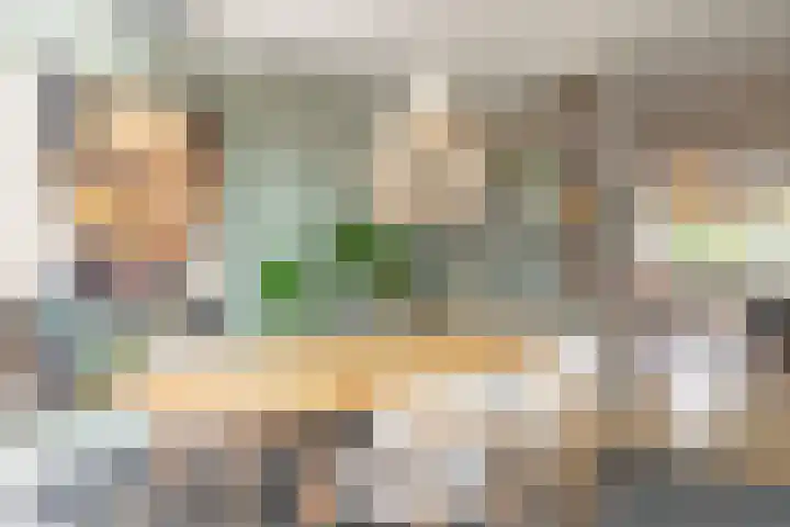 Oranje Nassaulaan 110 Overveen thumbnail 9
