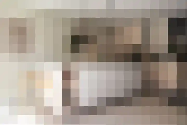 Oranje Nassaulaan 114 Overveen thumbnail 12