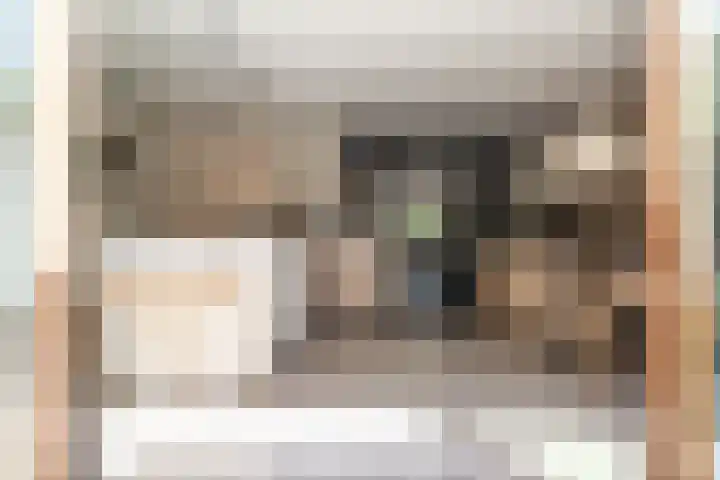 Oranje Nassaulaan 114 Overveen thumbnail 18