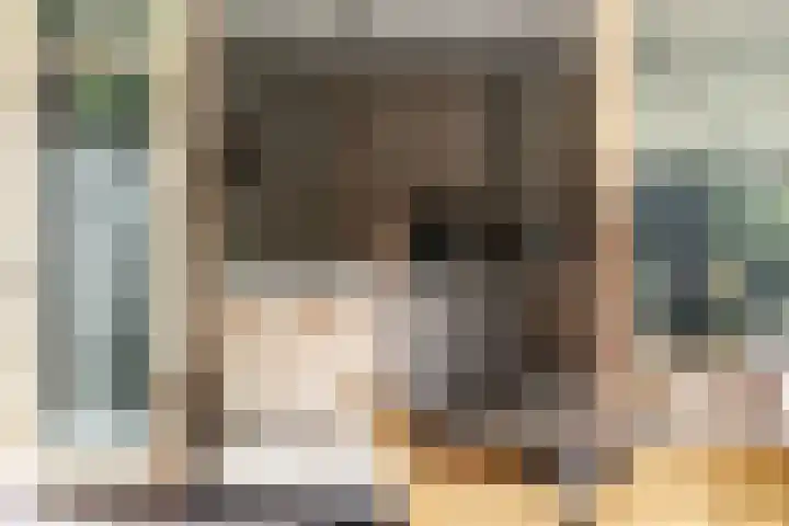 Oranje Nassaulaan 114 Overveen thumbnail 20