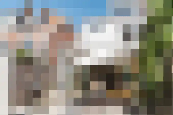 Oranje Nassaulaan 114 Overveen thumbnail 21