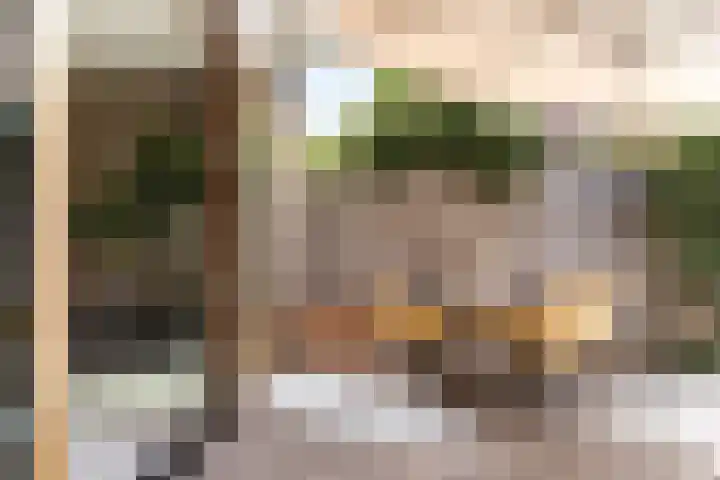 Oranje Nassaulaan 114 Overveen thumbnail 25