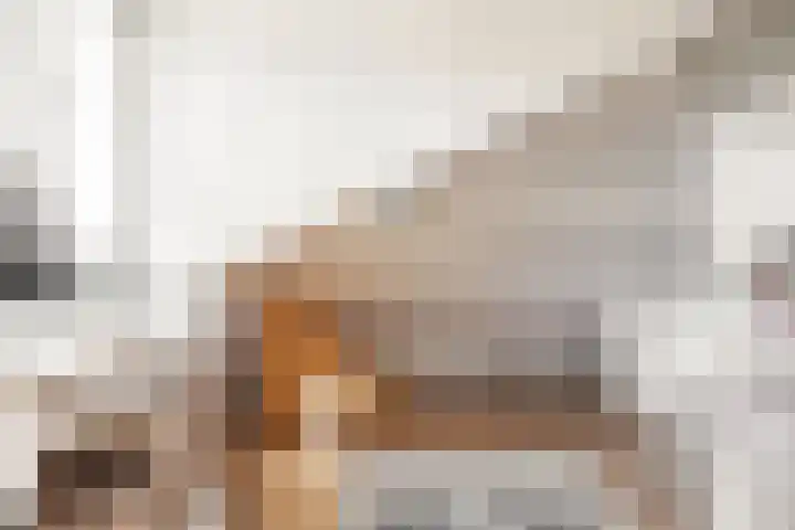 Oranje Nassaulaan 114 Overveen thumbnail 41