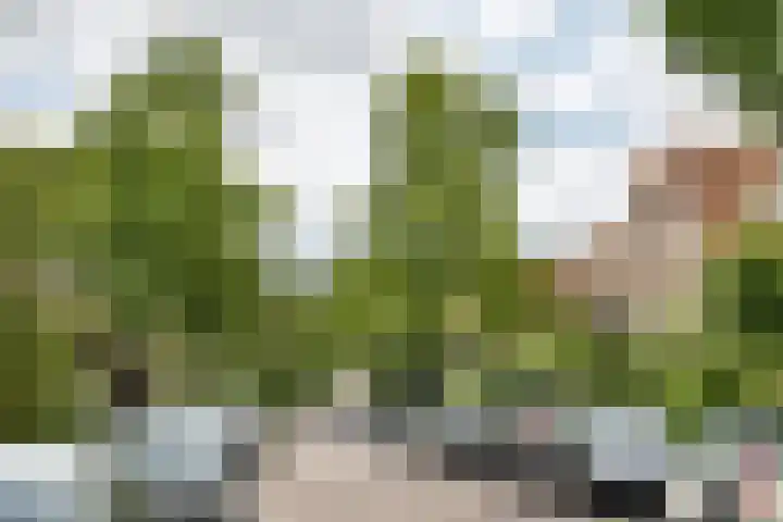 Oranje Nassaulaan 114 Overveen thumbnail 47