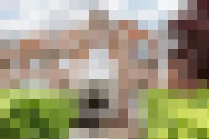 Oranje Nassaulaan 114 Overveen thumbnail 52
