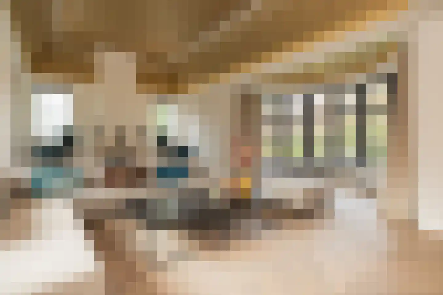 Oranje Nassaulaan 12 Warmond thumbnail 30