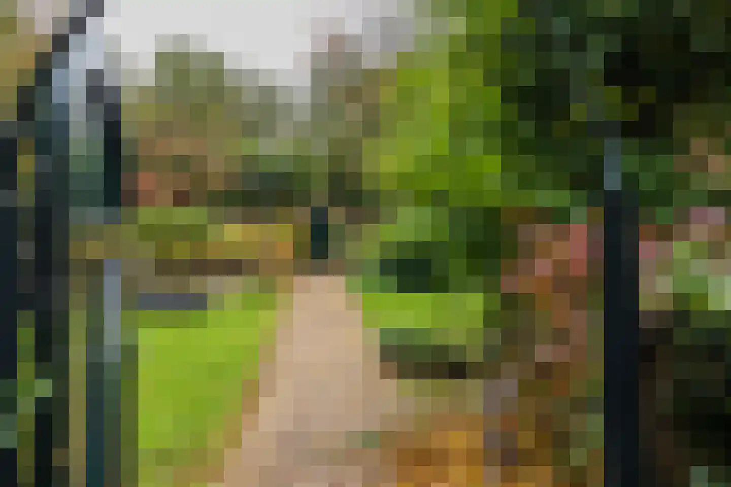 Oranje Nassaulaan 12 Warmond thumbnail 6