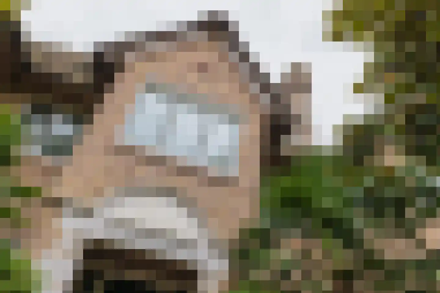 Oranje Nassaulaan 12 Warmond thumbnail 8