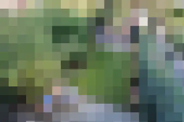 Oranje Nassaulaan 125 Overveen thumbnail 21