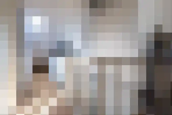 Oranje Nassaulaan 125 Overveen thumbnail 27