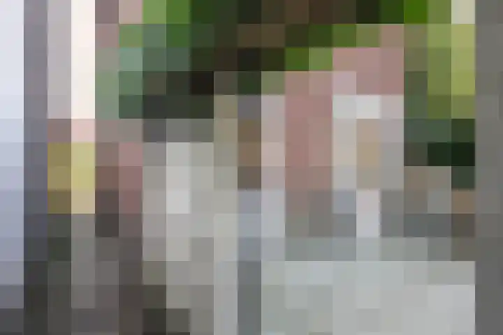 Oranje Nassaulaan 125 Overveen thumbnail 34