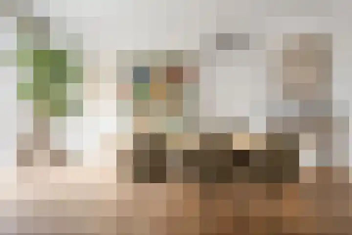 Oranje Nassaulaan 126 Overveen thumbnail 14