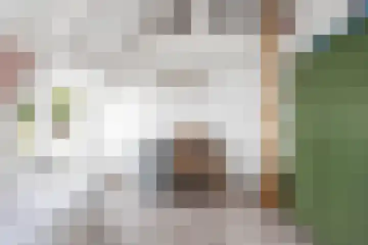 Oranje Nassaulaan 126 Overveen thumbnail 37