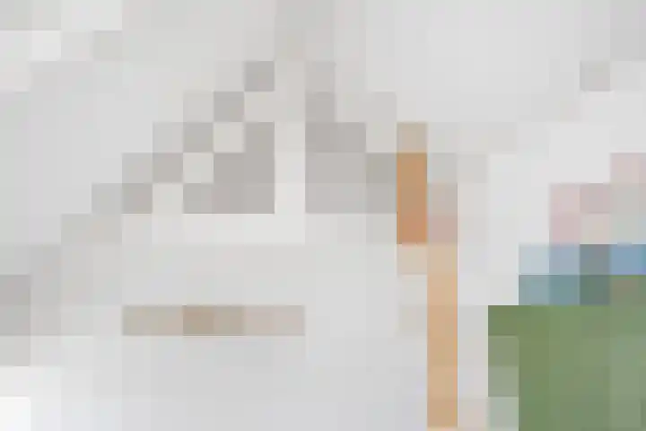 Oranje Nassaulaan 126 Overveen thumbnail 38