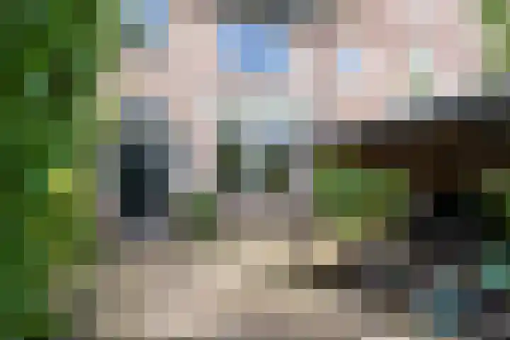 Oranje Nassaulaan 126 Overveen thumbnail 52