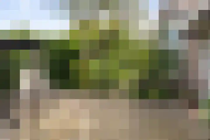 Oranje Nassaulaan 126 Overveen thumbnail 54