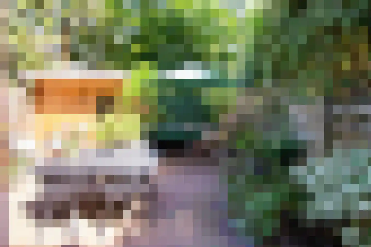 Oranje Nassaulaan 129 Overveen thumbnail 20