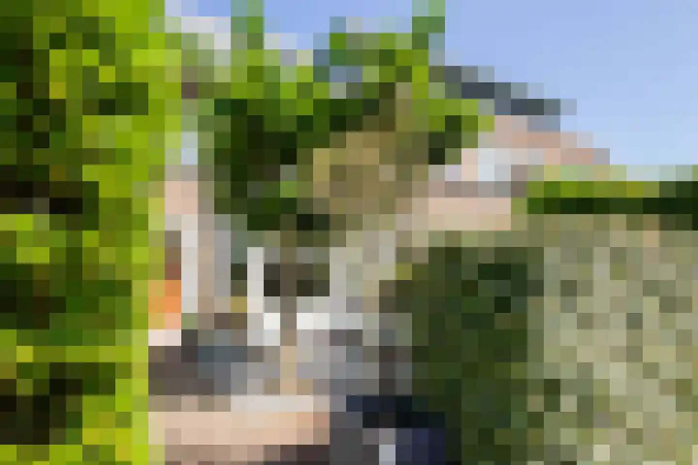 Oranje Nassaulaan 129 Overveen thumbnail 48