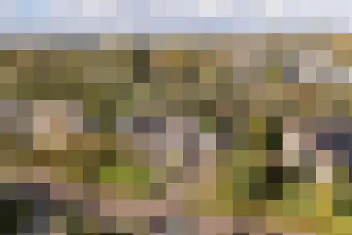 Oranje Nassaulaan 13 Andijk thumbnail 13