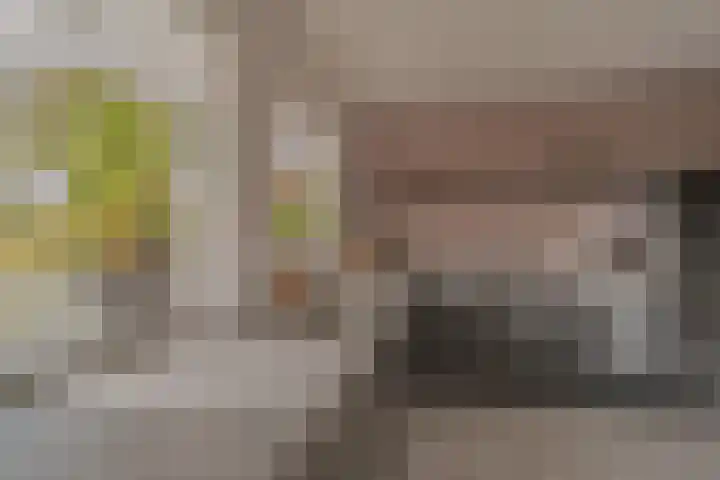 Oranje Nassaulaan 13 Andijk thumbnail 23