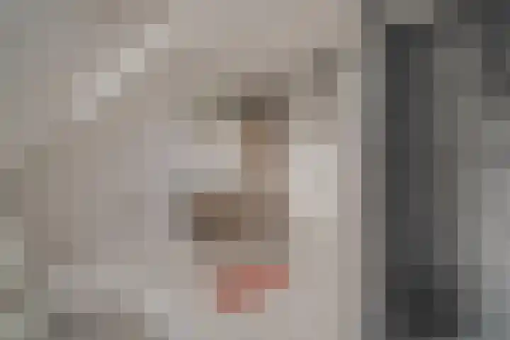 Oranje Nassaulaan 13 Andijk thumbnail 30