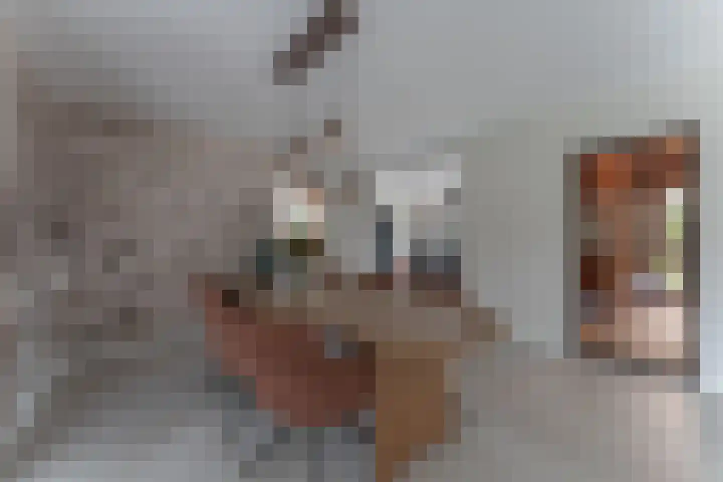 Oranje Nassaulaan 13 Andijk thumbnail 30