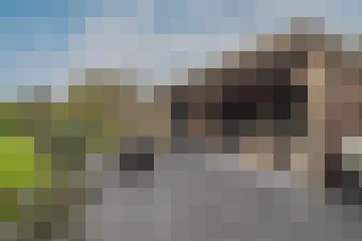 Oranje Nassaulaan 13 Andijk thumbnail 47
