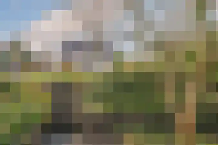 Oranje Nassaulaan 13 Andijk thumbnail 50