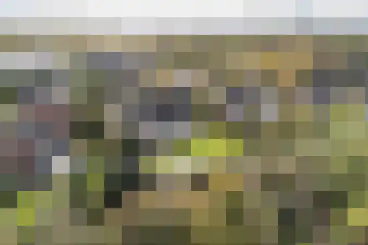 Oranje Nassaulaan 13 Andijk thumbnail 51