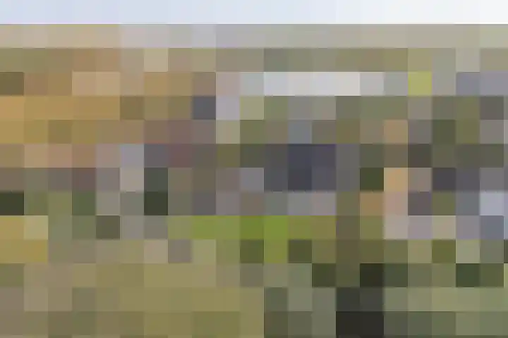 Oranje Nassaulaan 13 Andijk thumbnail 52