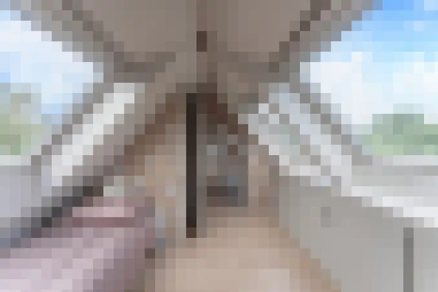 Oranje Nassaulaan 13 Andijk thumbnail 55