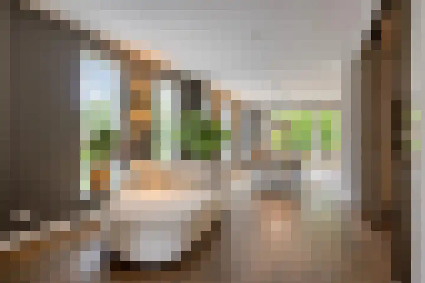 Oranje-Nassaulaan 135 Sint-Oedenrode thumbnail 27