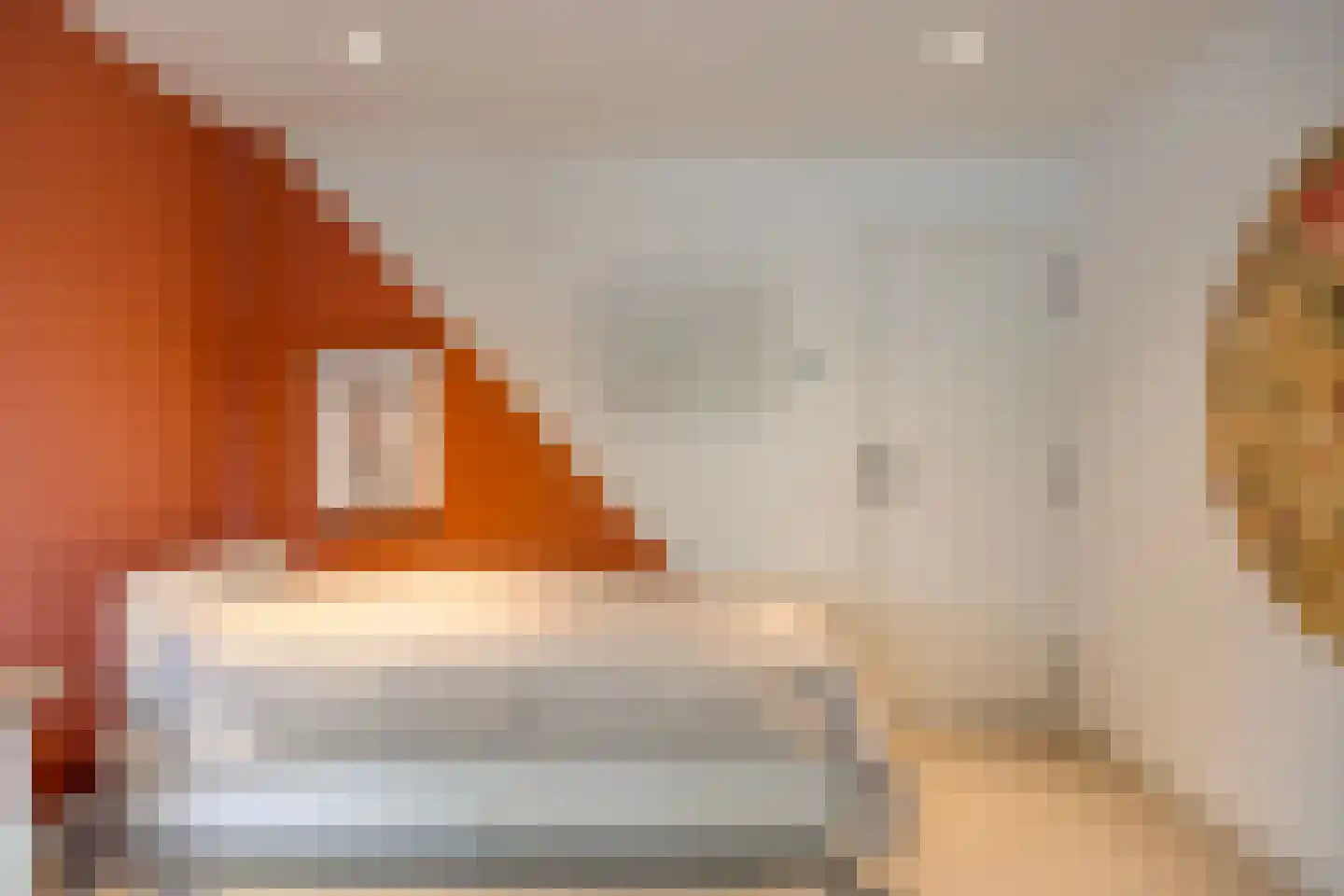 Oranje-Nassaulaan 135 Sint-Oedenrode thumbnail 79