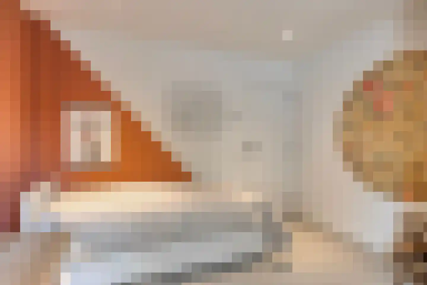 Oranje-Nassaulaan 135 Sint-Oedenrode thumbnail 80