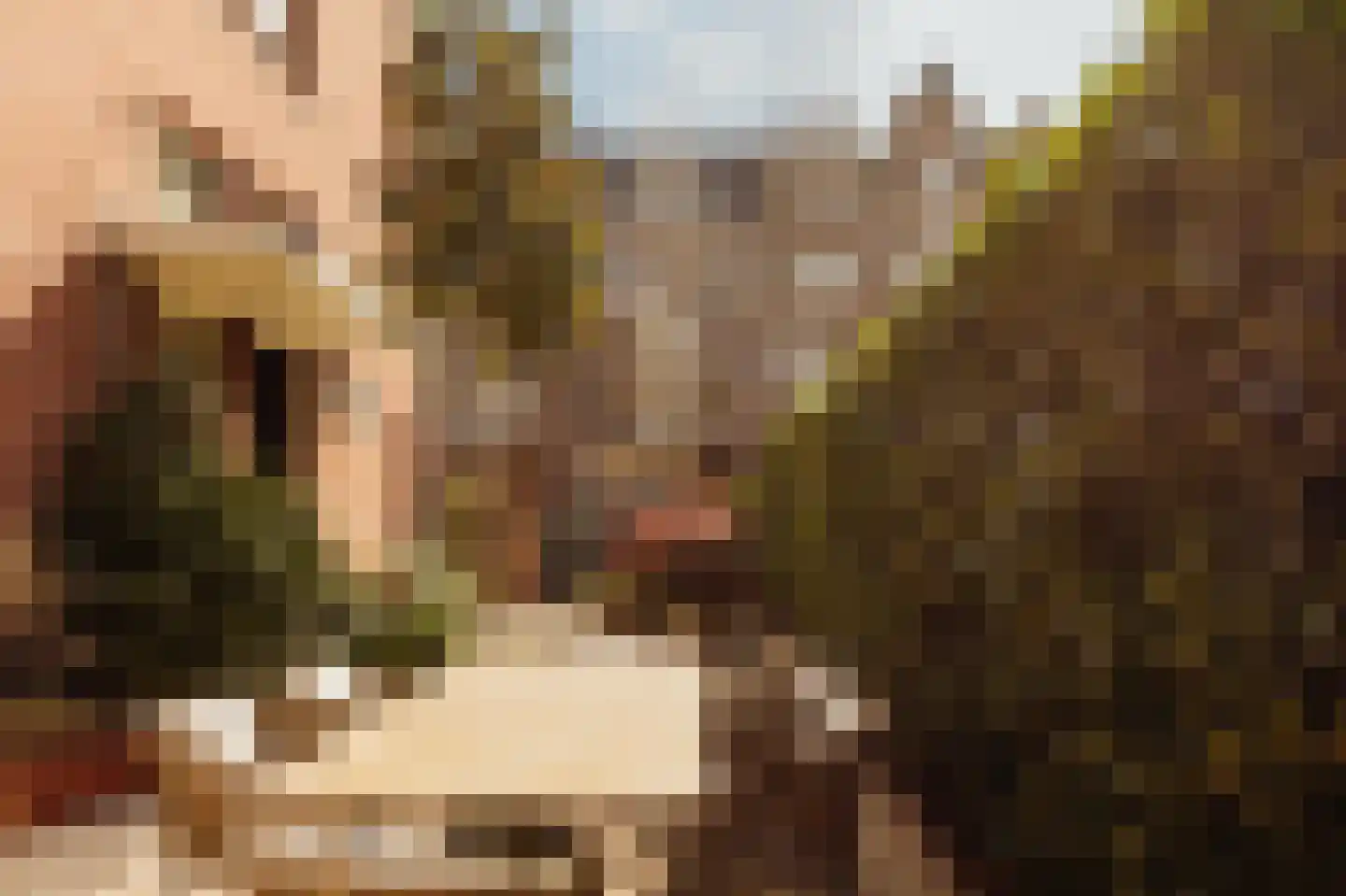 Oranje Nassaulaan 14 Amsterdam thumbnail 27
