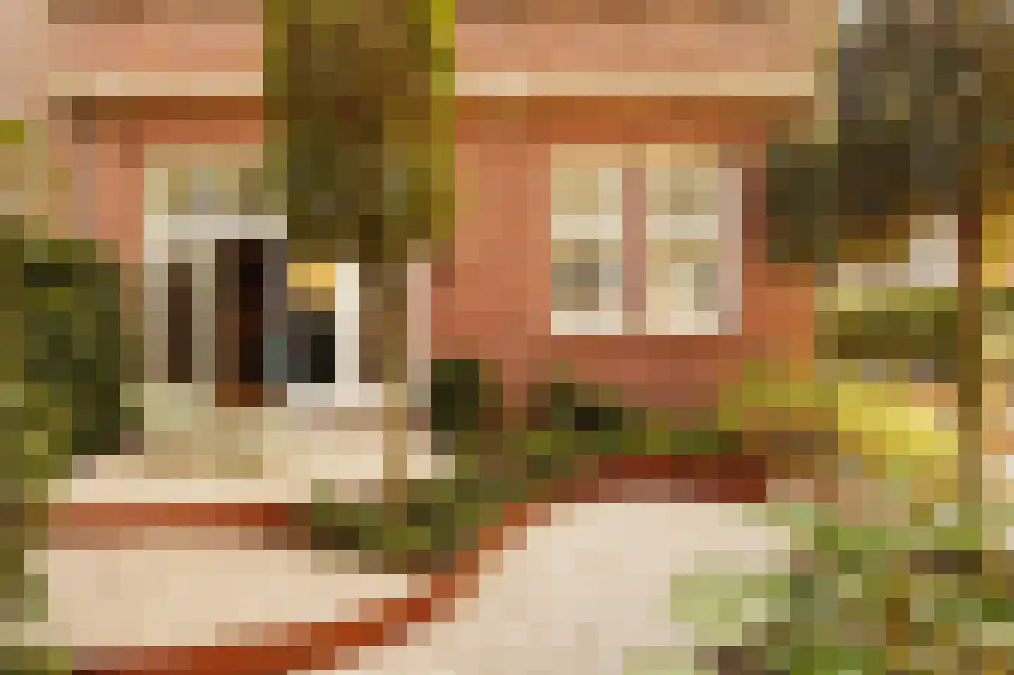 Oranje Nassaulaan 14 Amsterdam thumbnail 5