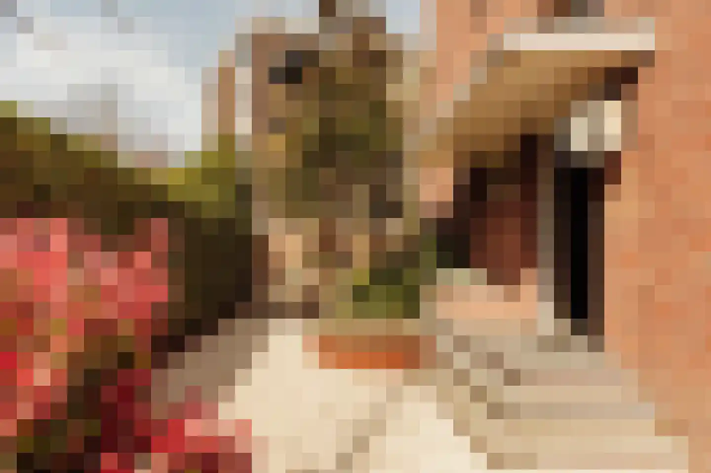 Oranje Nassaulaan 14 Amsterdam thumbnail 7