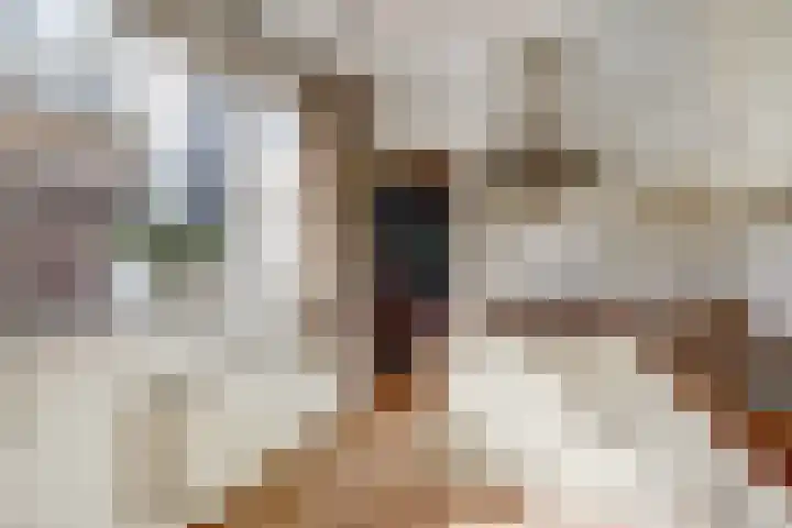 Oranje Nassaulaan 14 Leerdam thumbnail 19