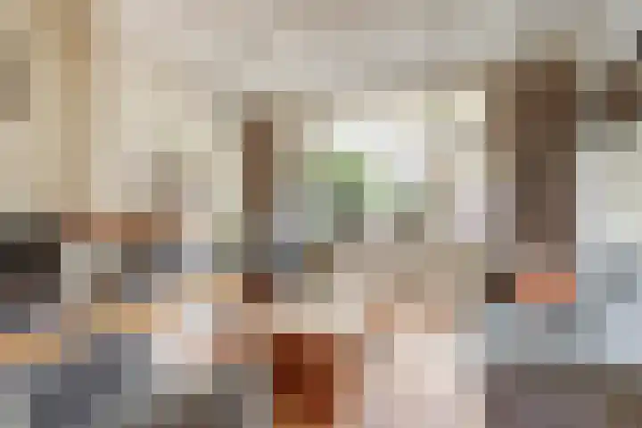 Oranje Nassaulaan 14 Leerdam foto 2