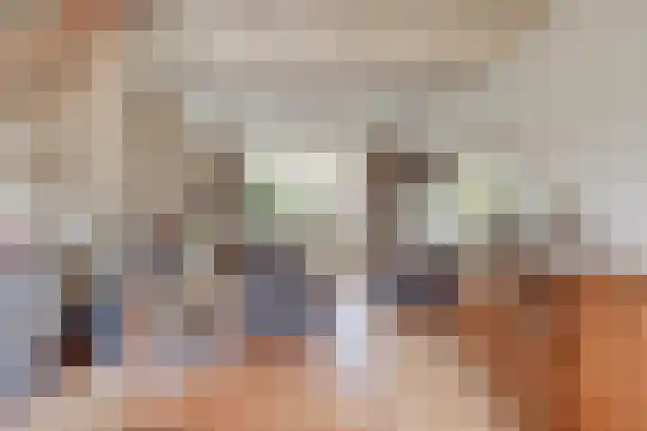Oranje Nassaulaan 14 Leerdam thumbnail 21