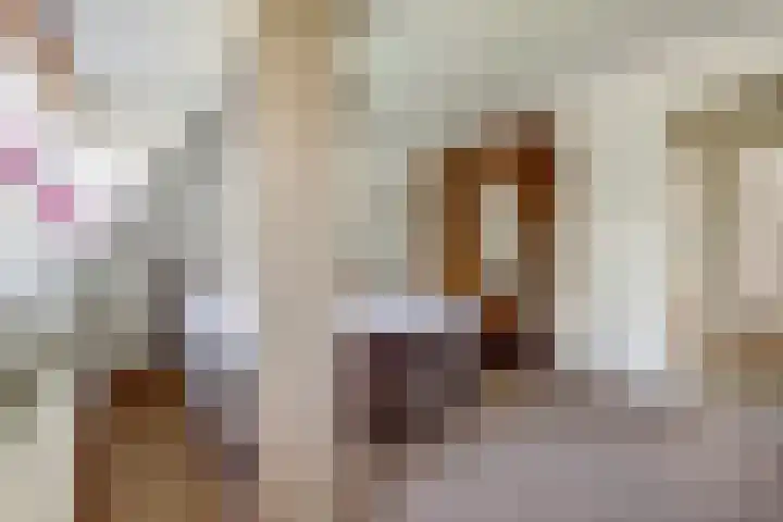 Oranje Nassaulaan 14 Leerdam thumbnail 32