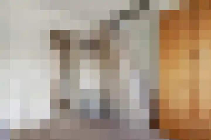 Oranje Nassaulaan 14 Leerdam thumbnail 34