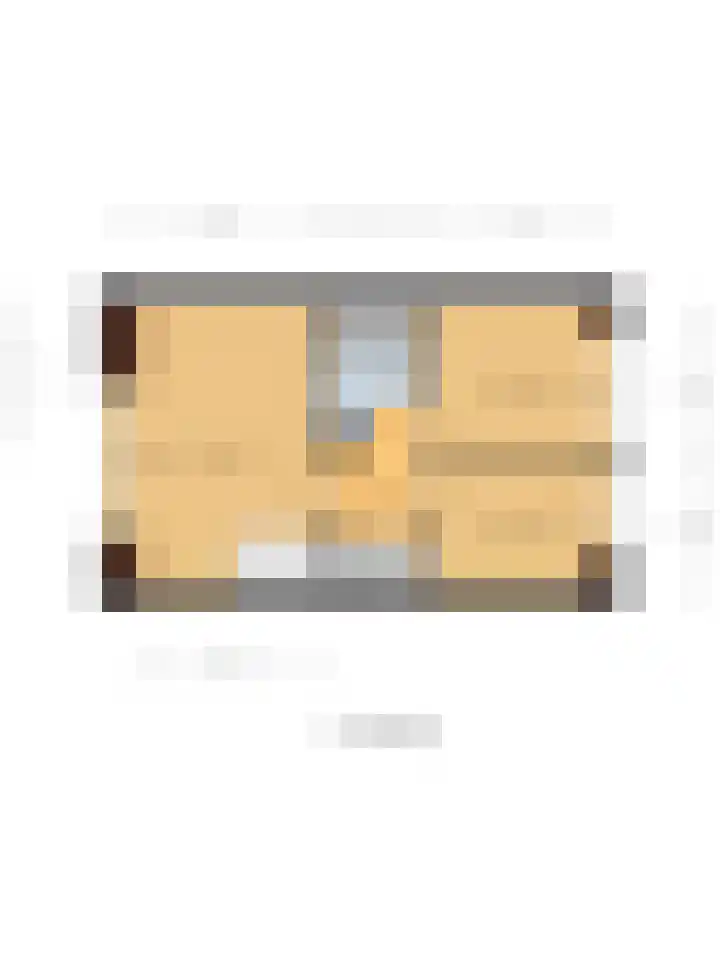 Oranje Nassaulaan 14 Leerdam thumbnail 35