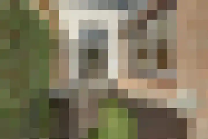 Oranje Nassaulaan 14 Leerdam thumbnail 45
