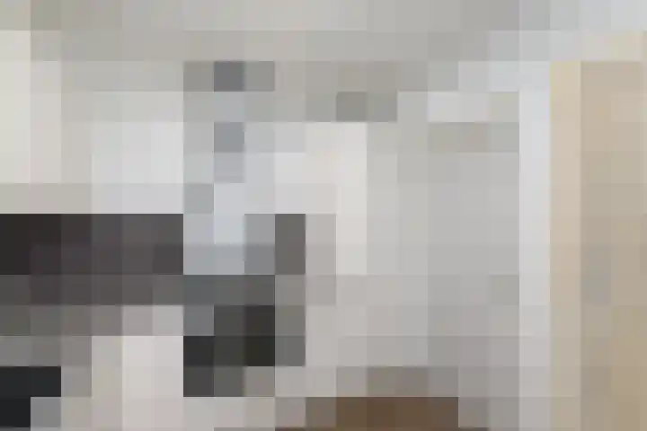 Oranje Nassaulaan 15 Wolvega thumbnail 12